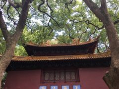 -普陀山风景名胜区-法雨禅寺