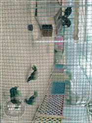 -萌宠亲子动物乐园(槐房万达店)