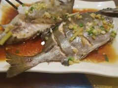 -金穗园·砂锅粥.醉鸡煲火锅(长寿路店)