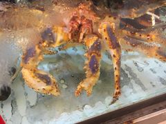 -龙悦湾酒家·八阵鱼生·渔人码头店