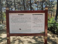 -林海公园