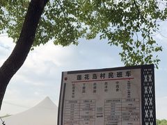 -莲花岛景区