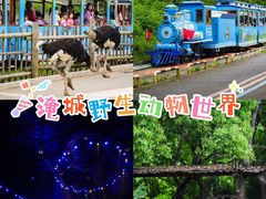 -常州淹城野生动物世界