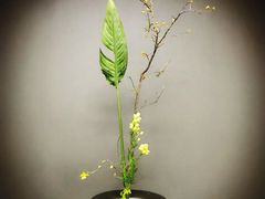 -荷兰布尔玛国际花艺学院