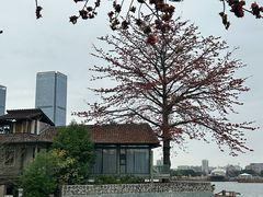 -喜洲吧·江畔老船厂·庭院餐厅(喜临院店)