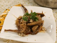 -百利鸽王(紫薇路店)