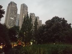 -成都市活水公园