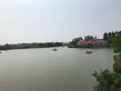 -上海长兴岛郊野公园