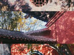 -洛阳白马寺