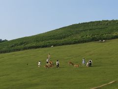 -奈良公园