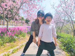 -天适樱花悠乐园