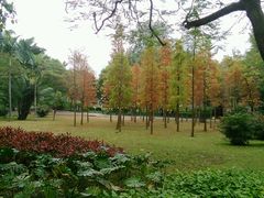 -晓港公园