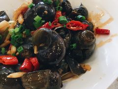 -金龙寨(解西店)