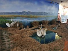 -延庆地质公园博物馆