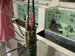 -海盗餐厅