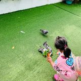 深圳遛娃看天空之城自然体验中心拓展孩子
