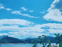 -望湖烤鱼