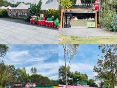 -云栖山谷野奢营地