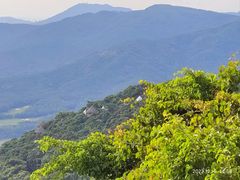 -三亚亚龙湾人间天堂鸟巢度假村