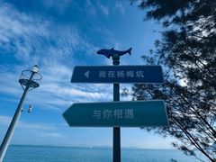 -杨梅坑