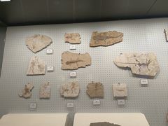 -辽宁古生物博物馆