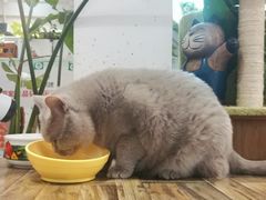 -小时光咖啡馆(北锣鼓巷店)