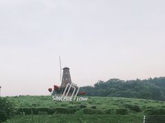 -大塘金香草谷