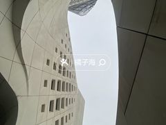 -南京眼步行桥