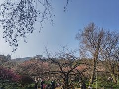 -杭州植物园