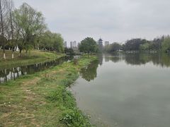 -洋湖国家湿地公园