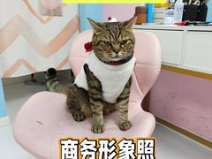 -Best U照相馆证件照·外拍(中山公园店)