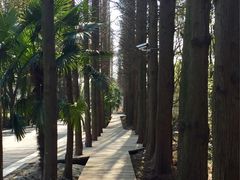 -同里国家湿地公园