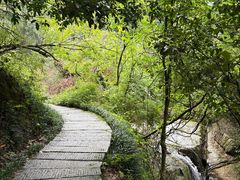 -南岳衡山风景名胜区