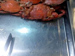 -好伦哥比萨烤肉自助(八里桥店)