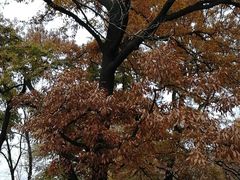 -艾山风景名胜区