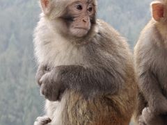 -重庆云阳龙缸景区