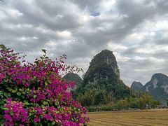 -靖西鹅泉风景区