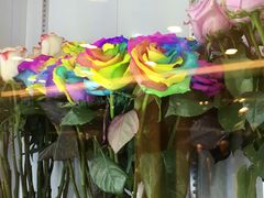 彩色玫瑰-ROSEONLY诺誓(国际广场购物中心店)