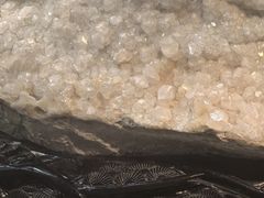 -烟台自然博物馆