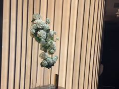 -華府Deluxe(兴业太古汇店)
