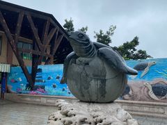 -广东惠东海龟国家级自然保护区