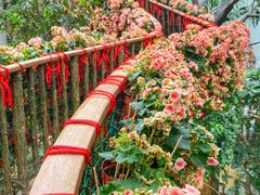 -正佳雨林生态植物园