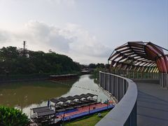 -江门古劳水乡旅游区