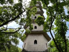 -江心屿景区