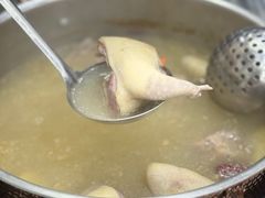 -鸽鸟轩(石岐店)