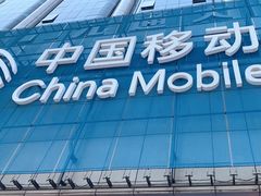 -中国移动(元通大厦营业厅)
