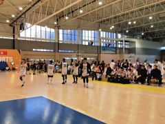 -莱茵体育生活馆