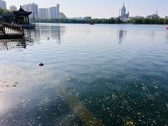 -莲花池公园