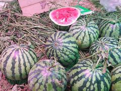 -五里多农博广场