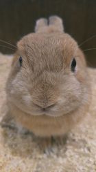 -Zoolung Zoolung动物主题公园(海信广场店)